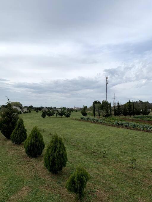 Fraschi Countryhouse Apartment Carpignano Salentino Exterior photo